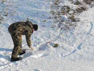 За год в Мурманской области выявили 116 нарушений правил охоты