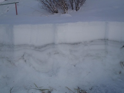 В Мурманске получены предварительные результаты анализа проб снега